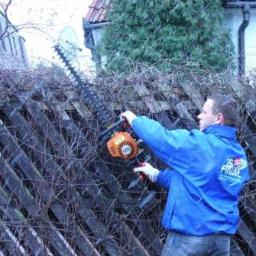 PRZYCINANIE ŻYWOPŁOTÓW WARSZAWA